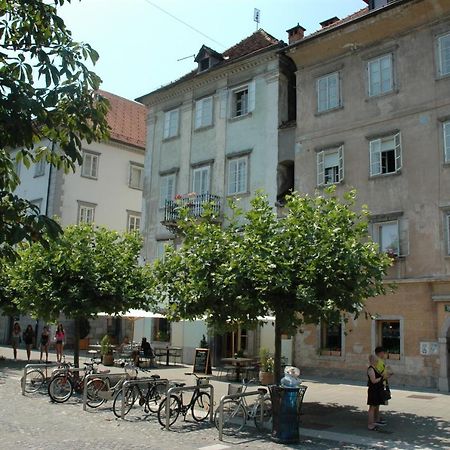 Vitez Apartment II Lublaň Exteriér fotografie