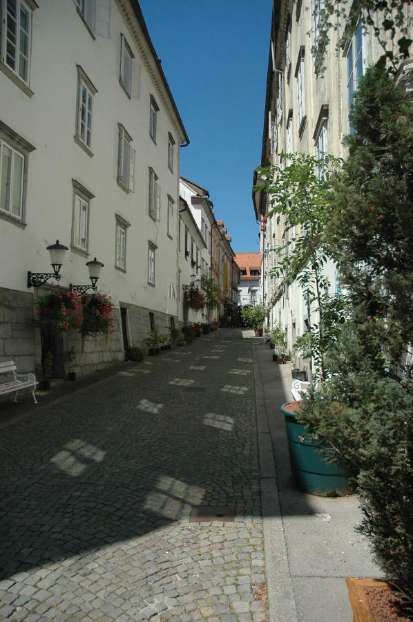 Vitez Apartment II Lublaň Exteriér fotografie