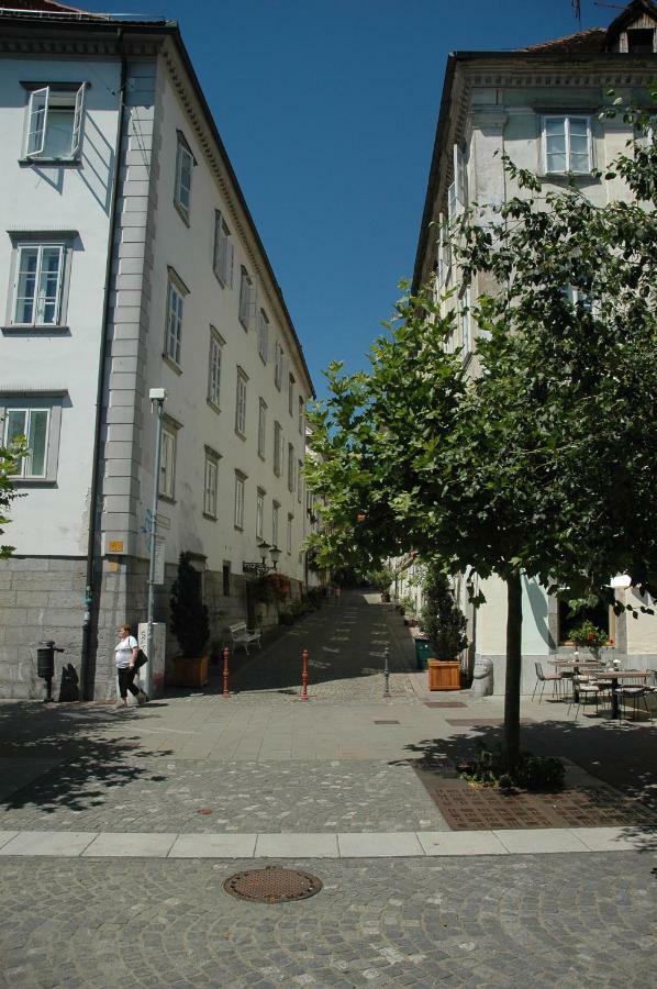 Vitez Apartment II Lublaň Exteriér fotografie