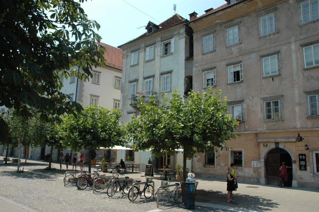Vitez Apartment II Lublaň Exteriér fotografie