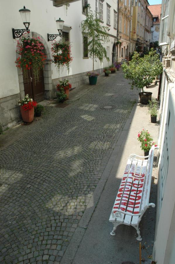 Vitez Apartment II Lublaň Exteriér fotografie